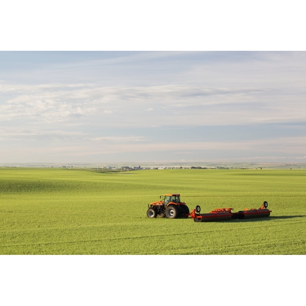 Tractor and land roller in an early growth cereal grain field Land rollers flatten high spots and press rocks into the 1 Image 1