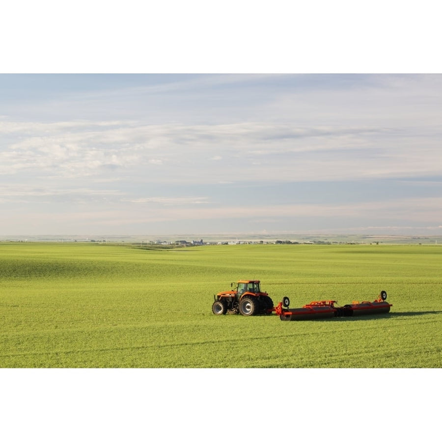 Tractor and land roller in an early growth cereal grain field Land rollers flatten high spots and press rocks into the 1 Image 1