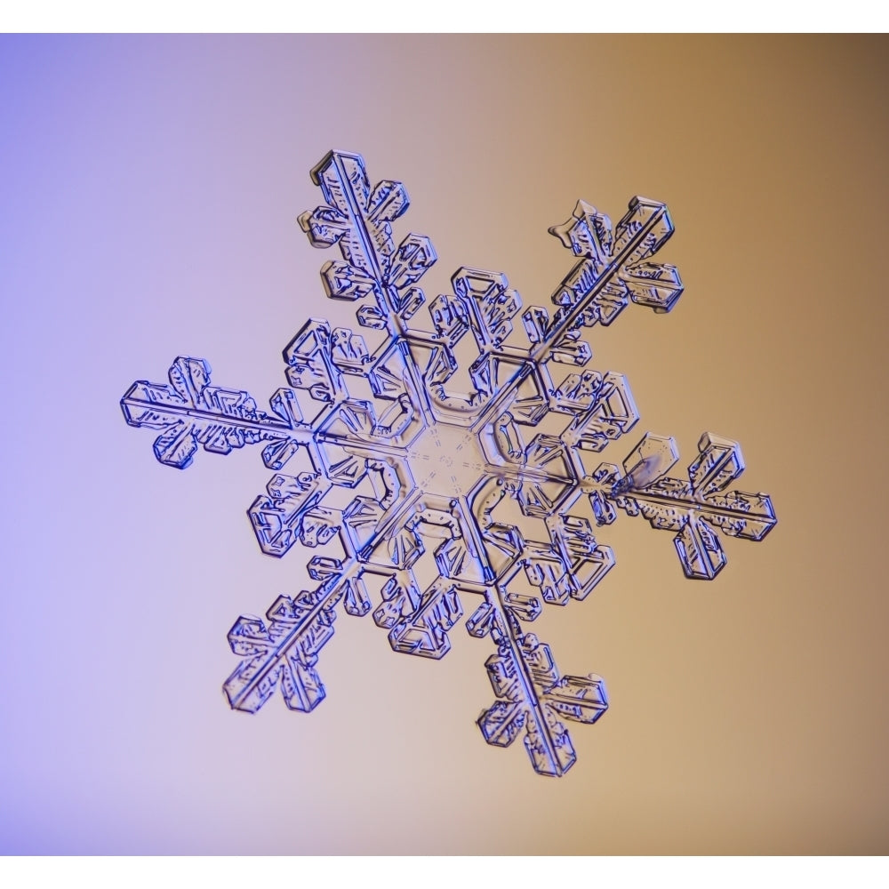 Photomicroscopic close up of a snowflake crystal Alaska Poster Print Image 1