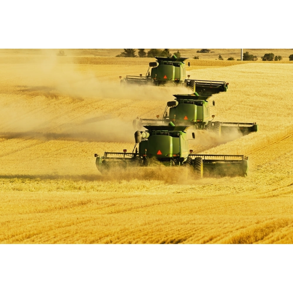 Paplow Harvesting Company custom combines a wheat field near Ray; North Dakota United States of America Image 1