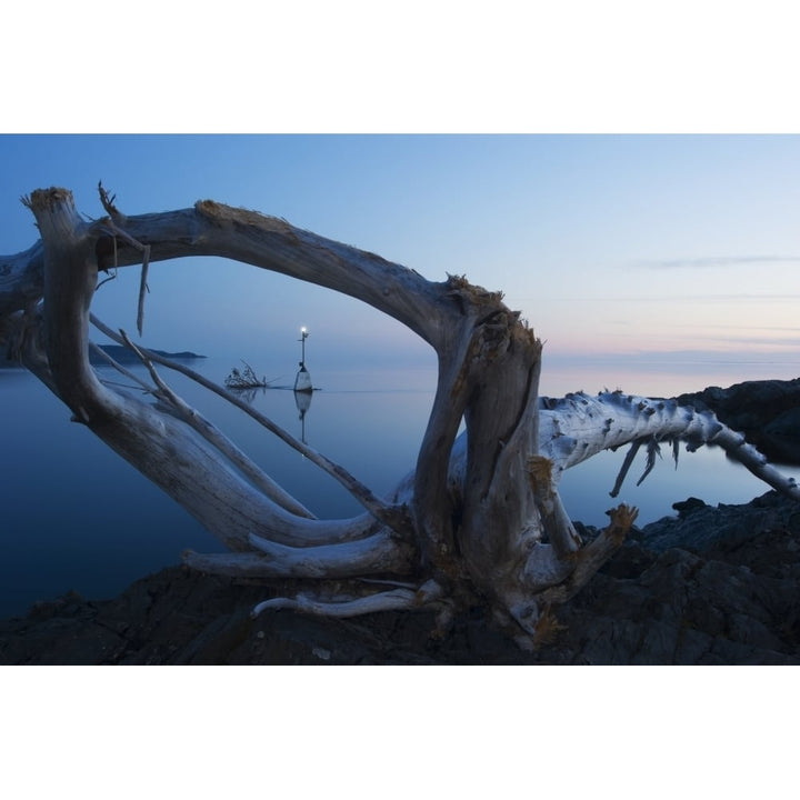 View through driftwood at sunrise over a calm lake; Ontario Canada Poster Print Image 1