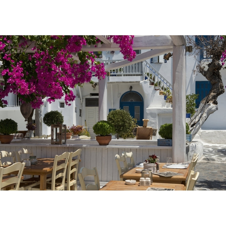 Bougainvillea growing around a taverna; Mykonos Town Mykonos Cyclades Greek Islands Greece Poster Print Image 1