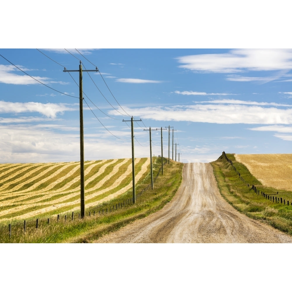 Gravel road climbing a hill with wooden electrical poles and a brown cut field on one side and a golden grain field on t Image 2