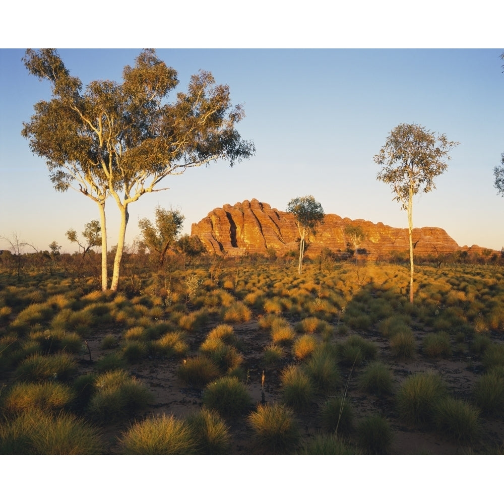 Outback Australia with rock formation in the distance; Northern Territory Australia Poster Print Image 1