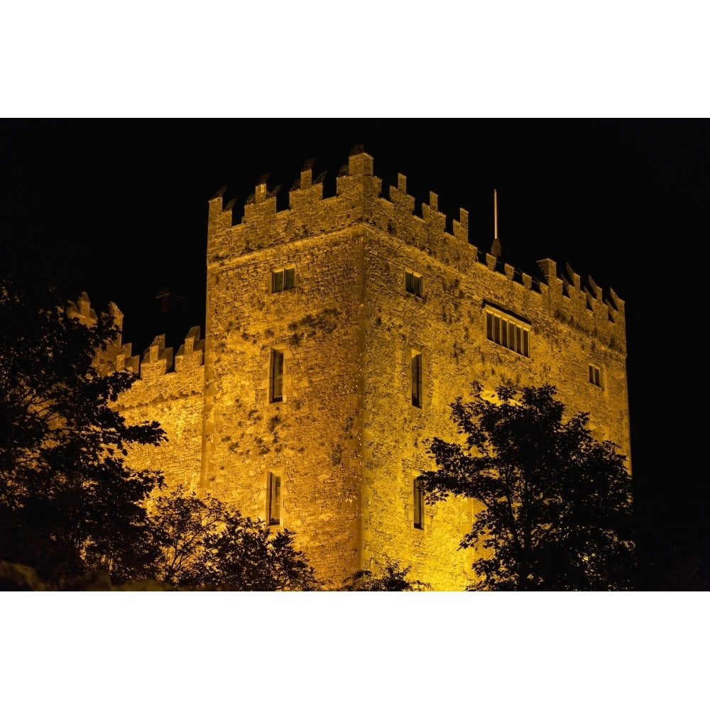 Night lights illuminating Bunratty Castle with silhouetted trees and black sky; Bunratty County Clare Ireland Image 2