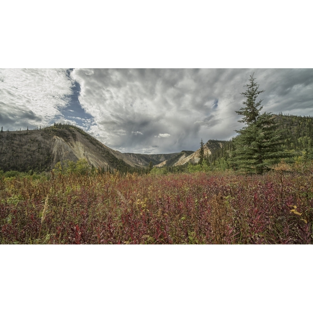 The foliage and mountains surrounding the old village site of Rampart House; Yukon Canada Poster Print by Robert Postma Image 2