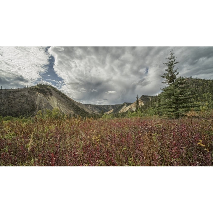 The foliage and mountains surrounding the old village site of Rampart House; Yukon Canada Poster Print by Robert Postma Image 1