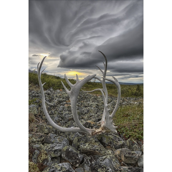 Lenticular clouds form overtop of Crow Mountain while a set of caribou antlers lie on the rocks; Old Crow Yukon Canada 2 Image 1