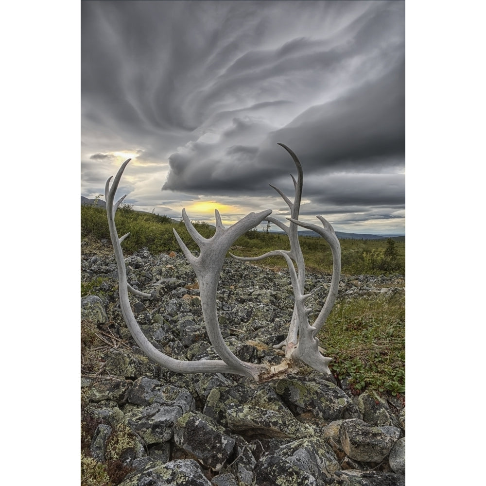 Lenticular clouds form overtop of Crow Mountain while a set of caribou antlers lie on the rocks; Old Crow Yukon Canada 2 Image 2