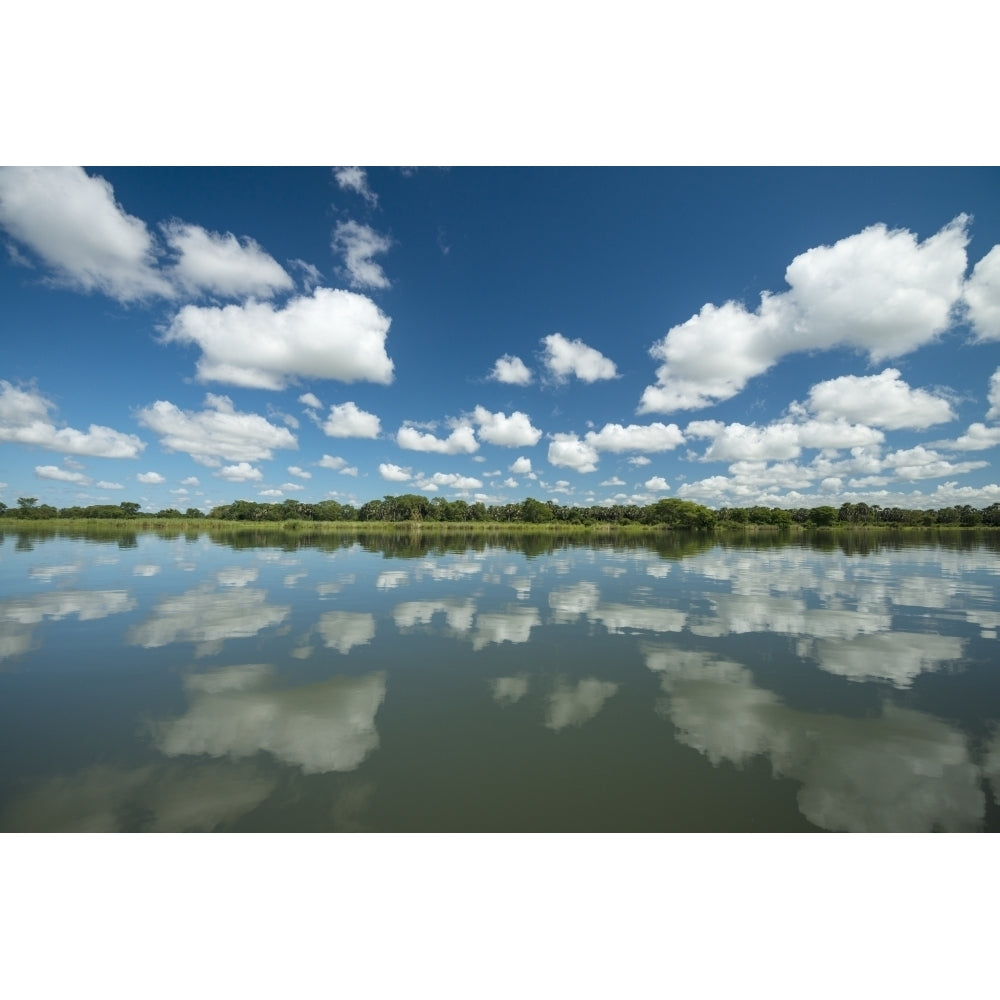 Reflections across the calm waters of the Shire River Liwonde National Park; Malawi Poster Print Image 1