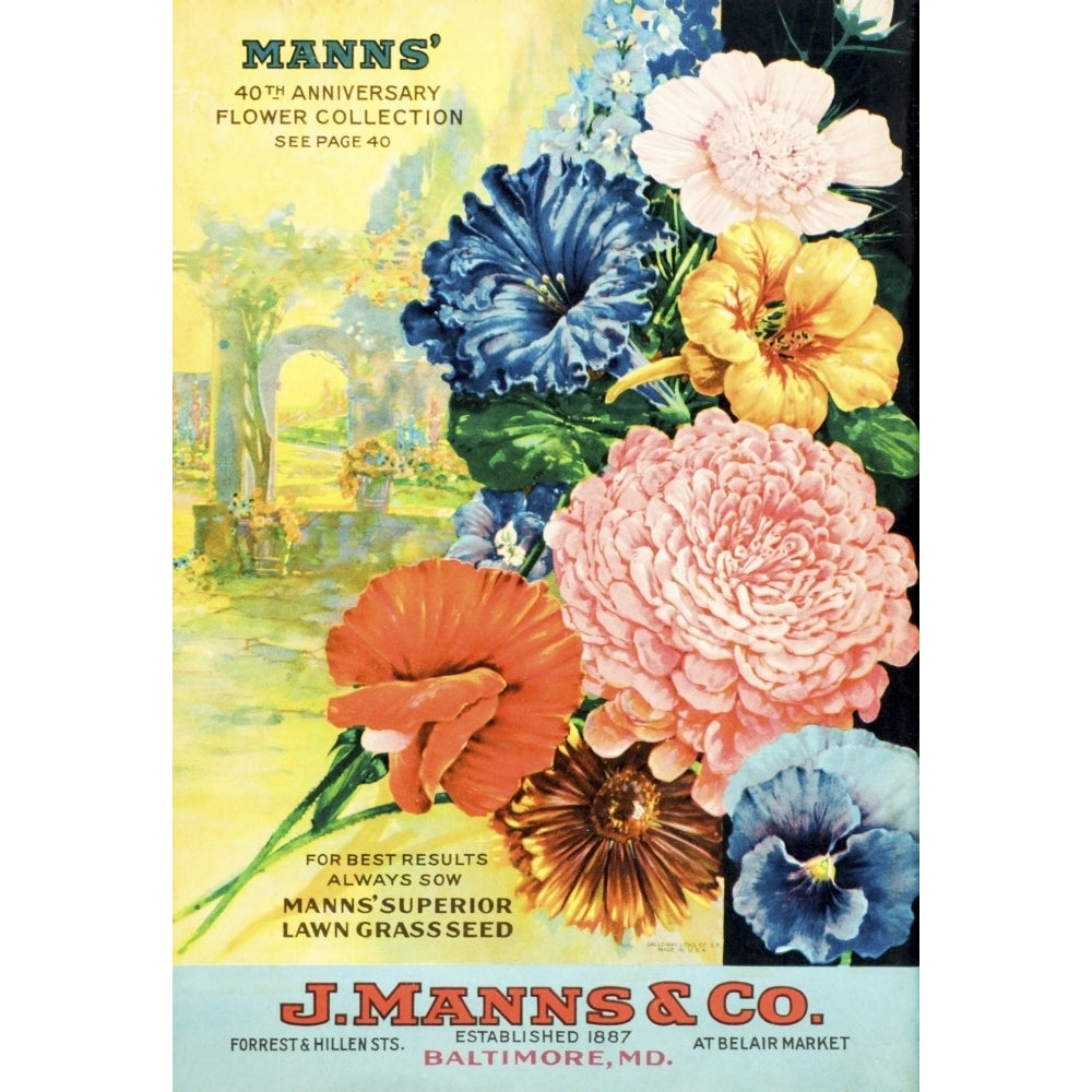 J. Manns seed catalog with illustration of flowers from 20th century. Poster Print Image 2