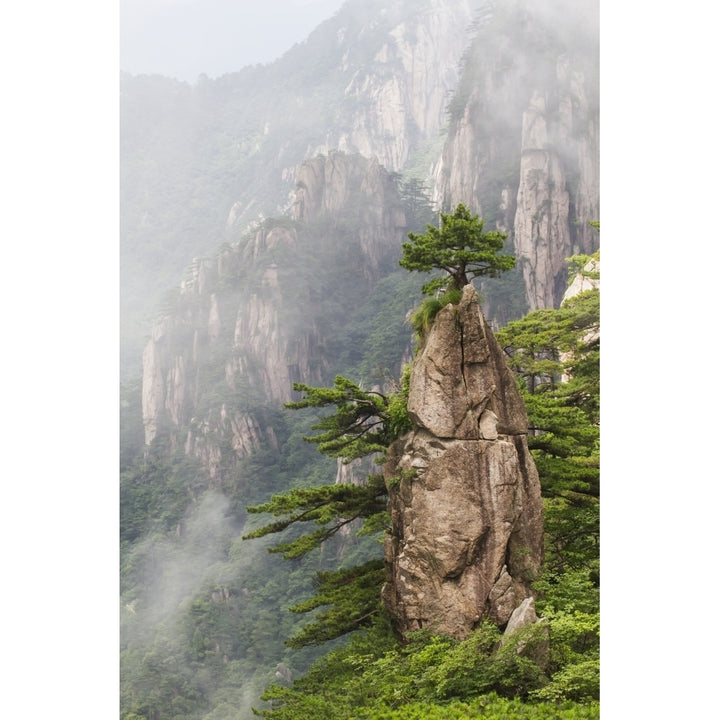 A Flower Blooming on a Brush Tip formation in the North Sea Scenic area Mount Huangshan Anhui China Print Image 2