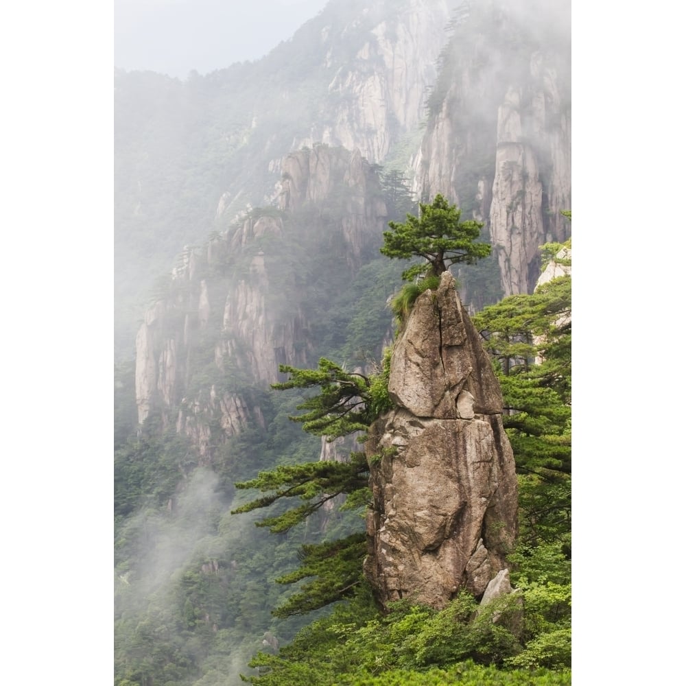 A Flower Blooming on a Brush Tip formation in the North Sea Scenic area Mount Huangshan Anhui China Print Image 1