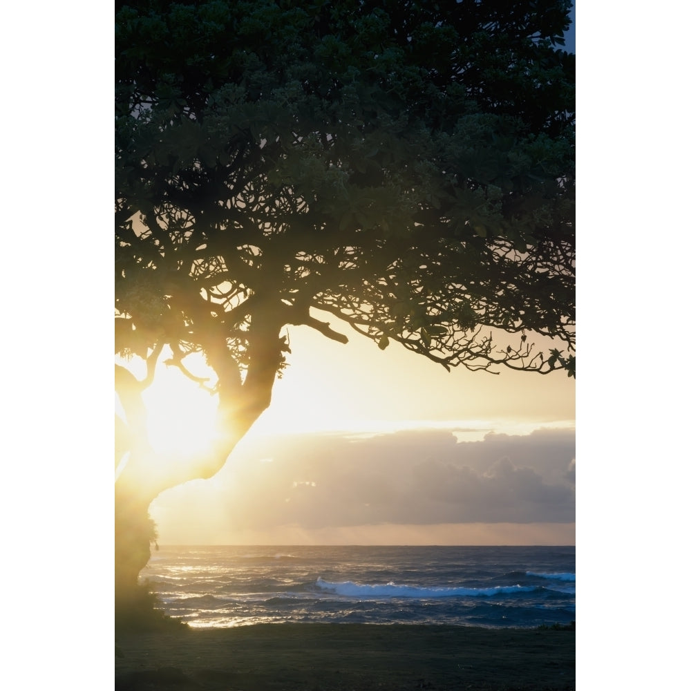 Sunrise seen from Lydgate Beach Park; Lydgate Kauai Hawaii United States of America Poster Print Image 1