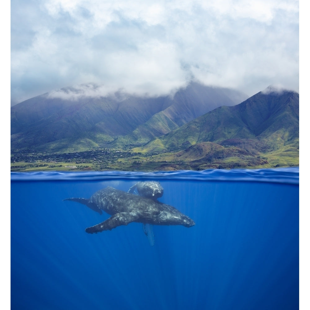 A split image of a pair of humpback whales underwater in front of the West Maui Mountains just south of Lahaina; Maui H Image 2