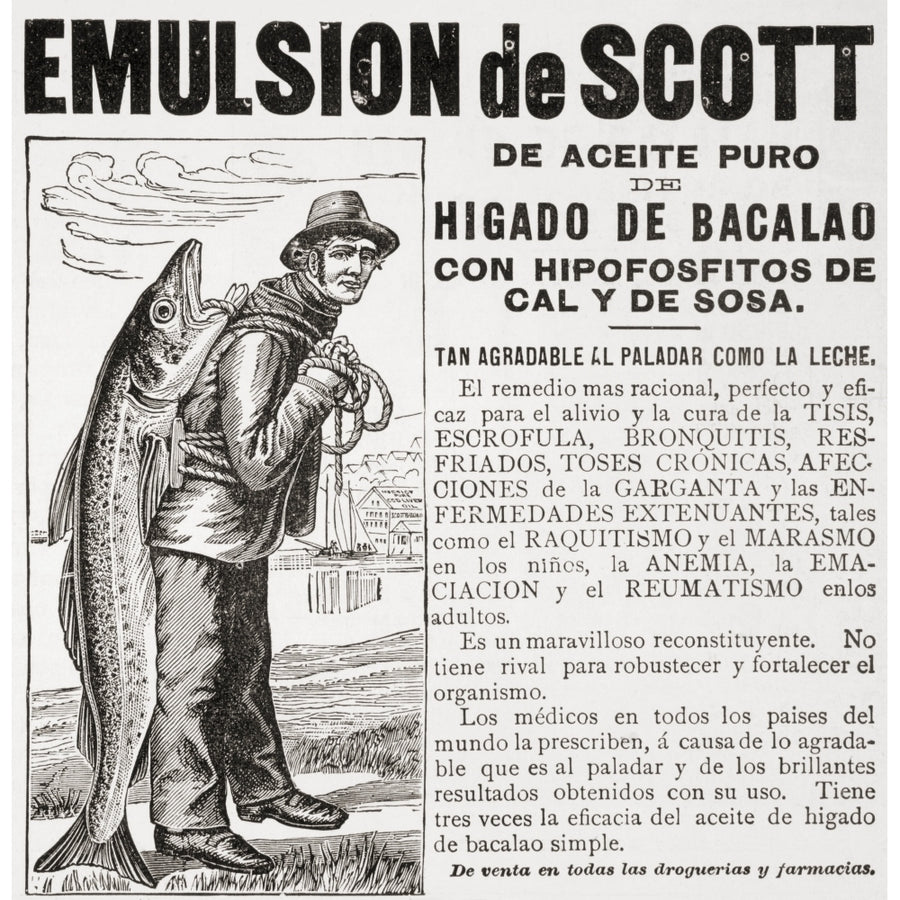 19th Century Spanish Advertisement For Emulsion De Scott Scotts Emulsion Of Pure Cod Liver Oil From La Ilustracion Image 1