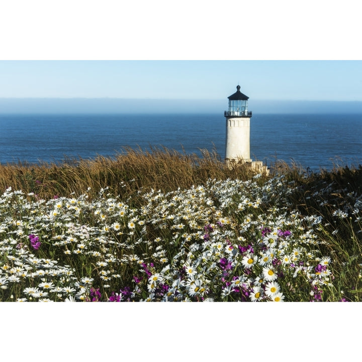 Flowers bloom near North Head Lighthouse on the Washington Coast; Washington United States of America Poster Print by R Image 2