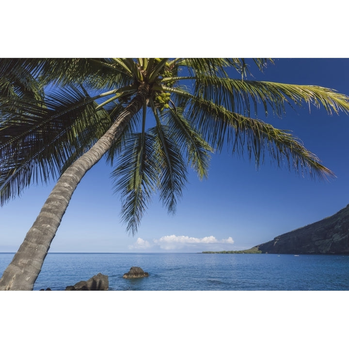 Coconut Palm on Kealakekua Bay with view of Captain Cook Image 1