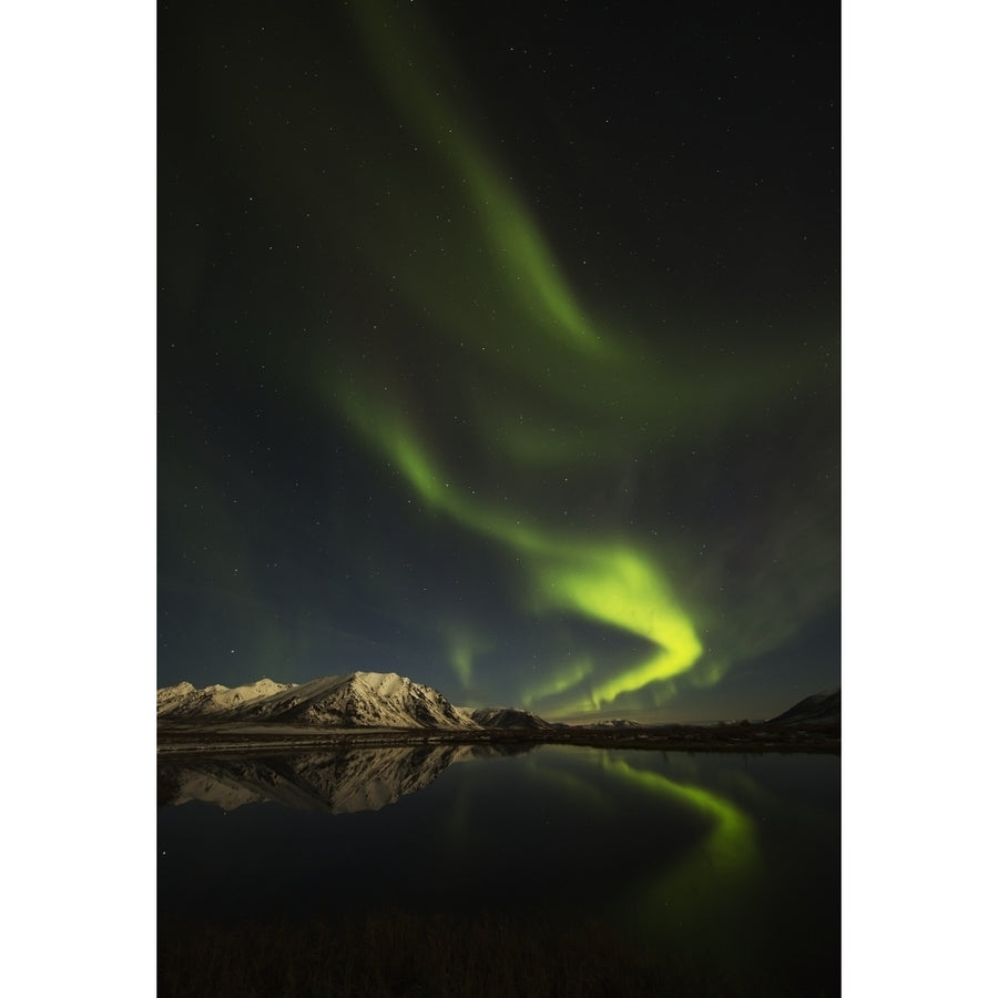 Northern Lights over the Dempster Highway and reflected into a pond; Yukon Canada Print Image 1