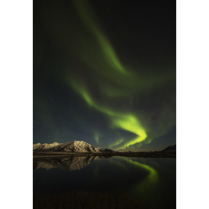 Northern Lights over the Dempster Highway and reflected into a pond; Yukon Canada Print Image 2