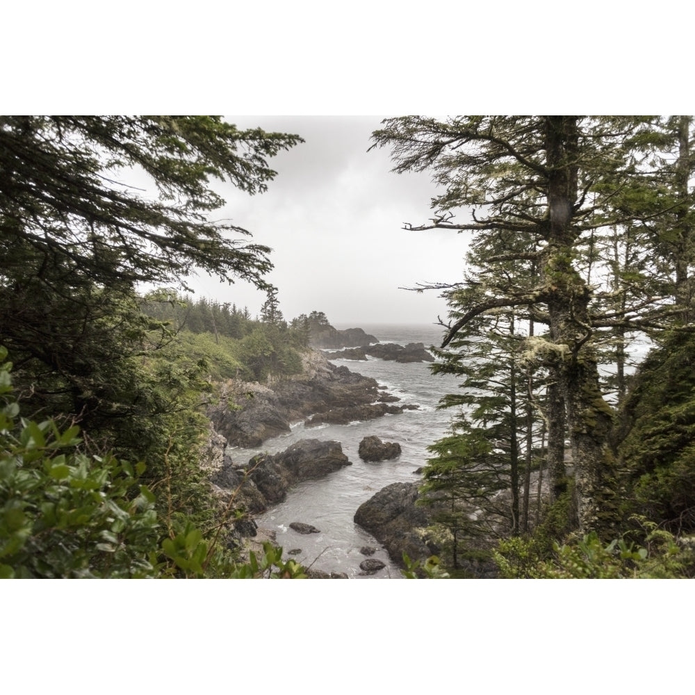 Rugged coastline on Wild Pacific Trail; Ucluelet British Columbia Canada Poster Print Image 1