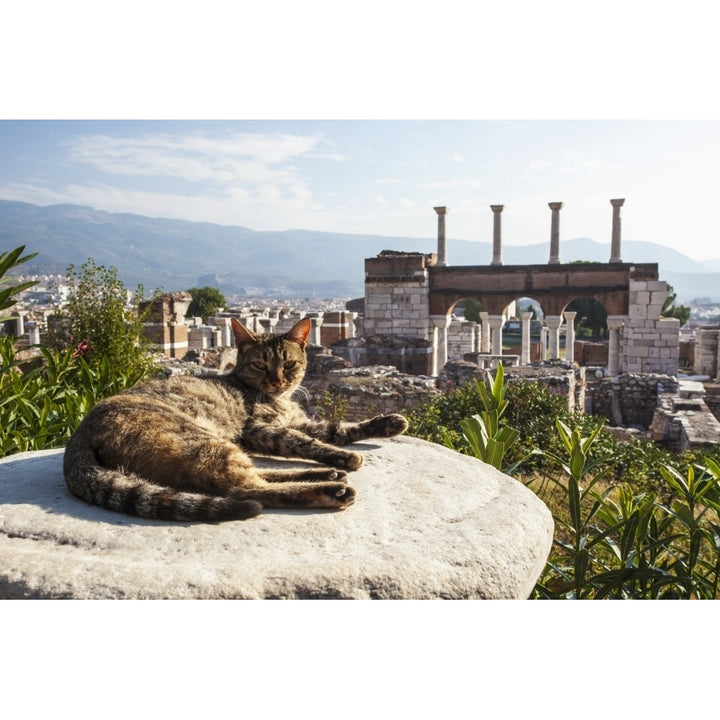 A cat lays in the sun on a rock at the ruins of Saint Johns Basilica and the tomb of Saint John; Ephesus Izmir Turkey 1 Image 2