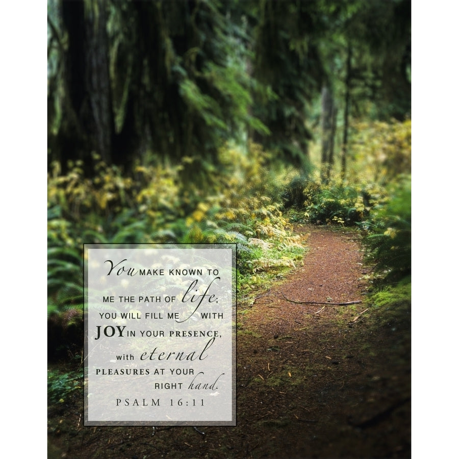 Image Of A Trail Going Through A Lush Forest And Scripture From Psalm 16:11 by Tim Antoniuk / Design Pics Image 1