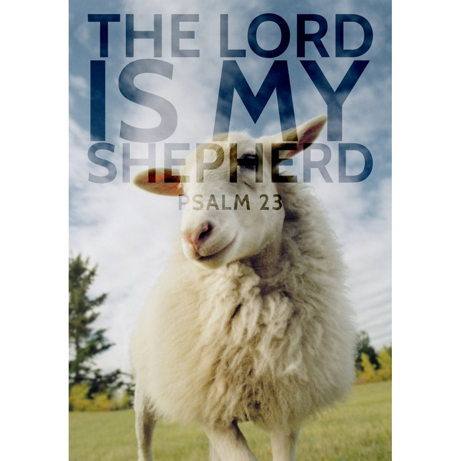 Image Of A Sheep With Scripture From Psalm 23 by Tim Antoniuk / Design Pics Image 1