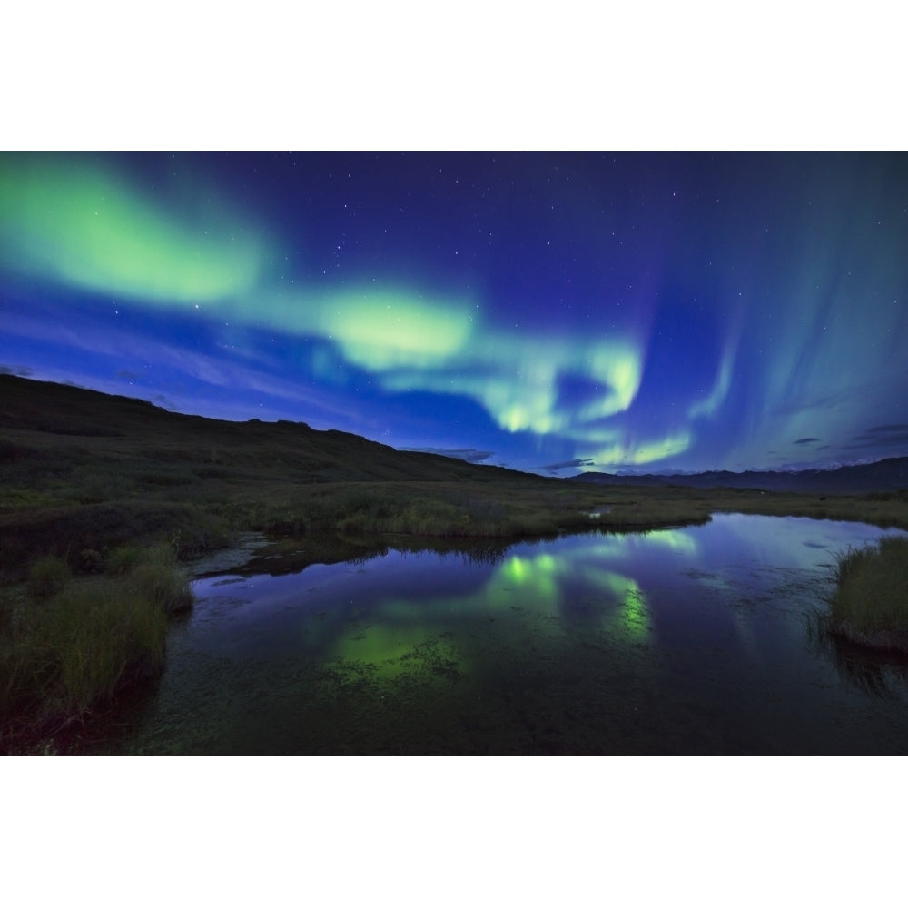 Aurora borealis over a pond in Denali National Park and Preserve Alaska. Poster Print Image 1