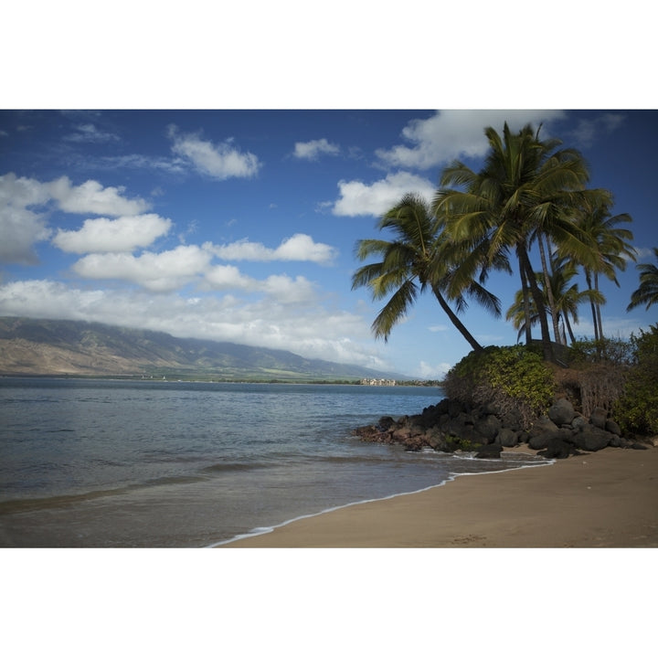 Coconut palms with Maalia and West Maui Mountains in background Kihei Canoe Image 2