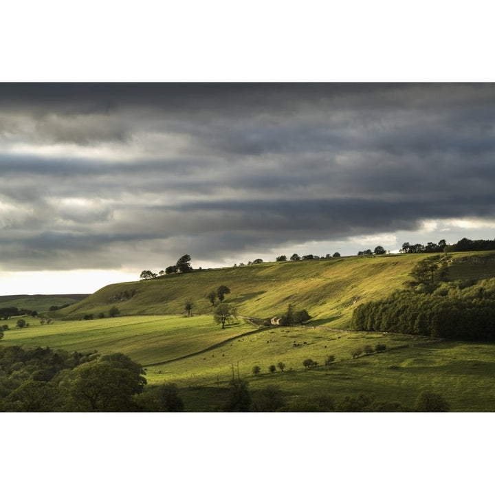 Green fields on rolling hills under a cloudy sky; Yorkshire Dales England Poster Print Image 1