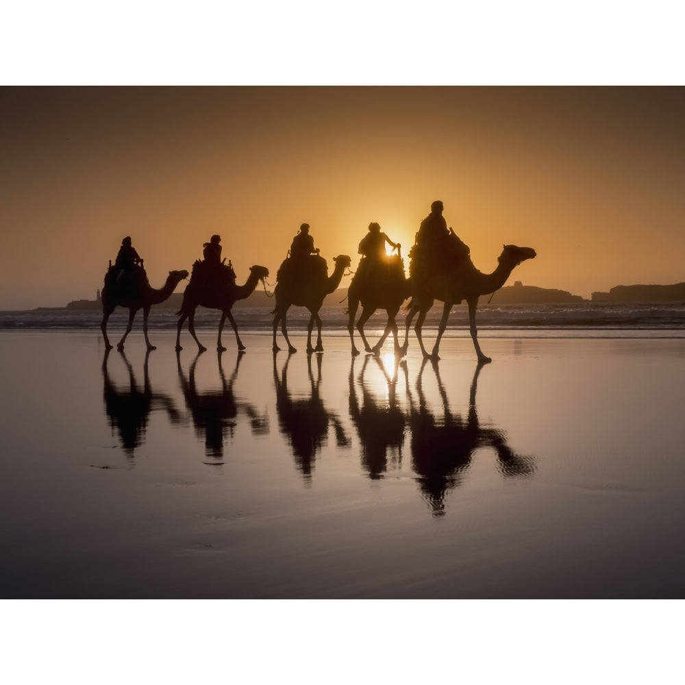 Sunset camel trek on the beach; Essaouira Morocco Poster Print Image 2