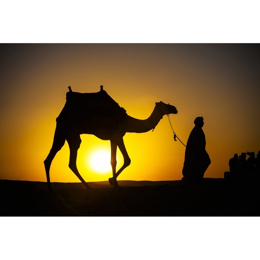 An Egyptian man silhouetted by the setting sun leads a camel across the desert; Cairo Egypt Poster Print Image 1