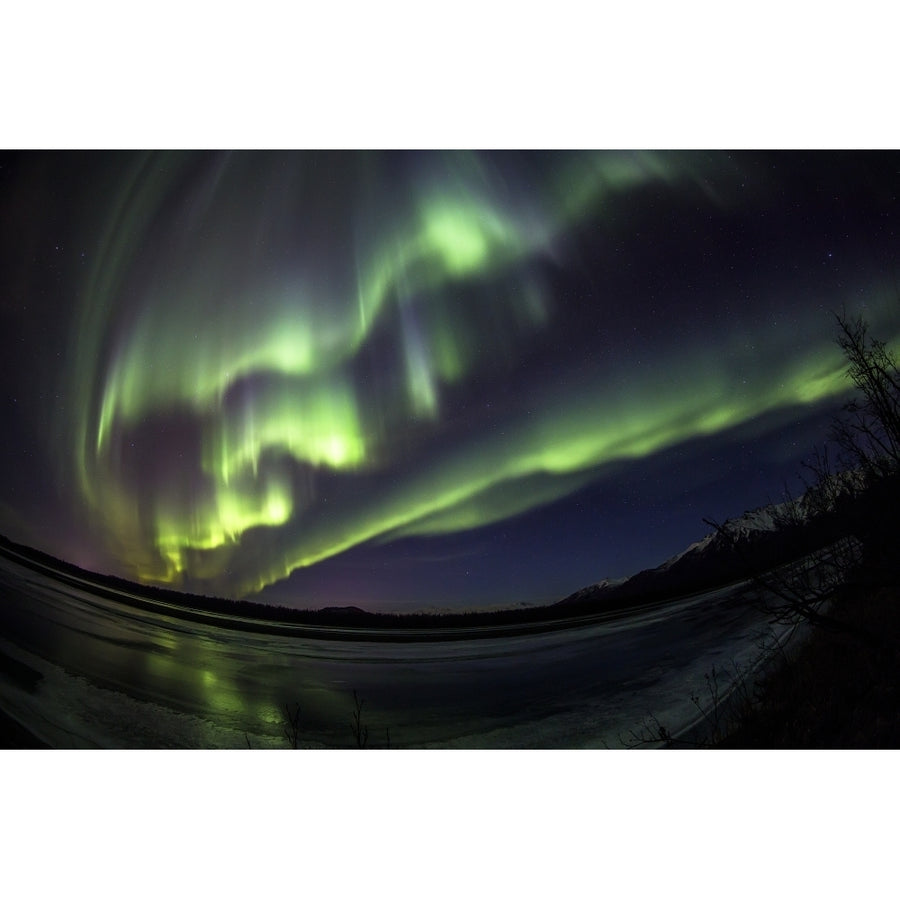 Northern lights over the Knik River near Palmer; Alaska United States of America Poster Print Image 1