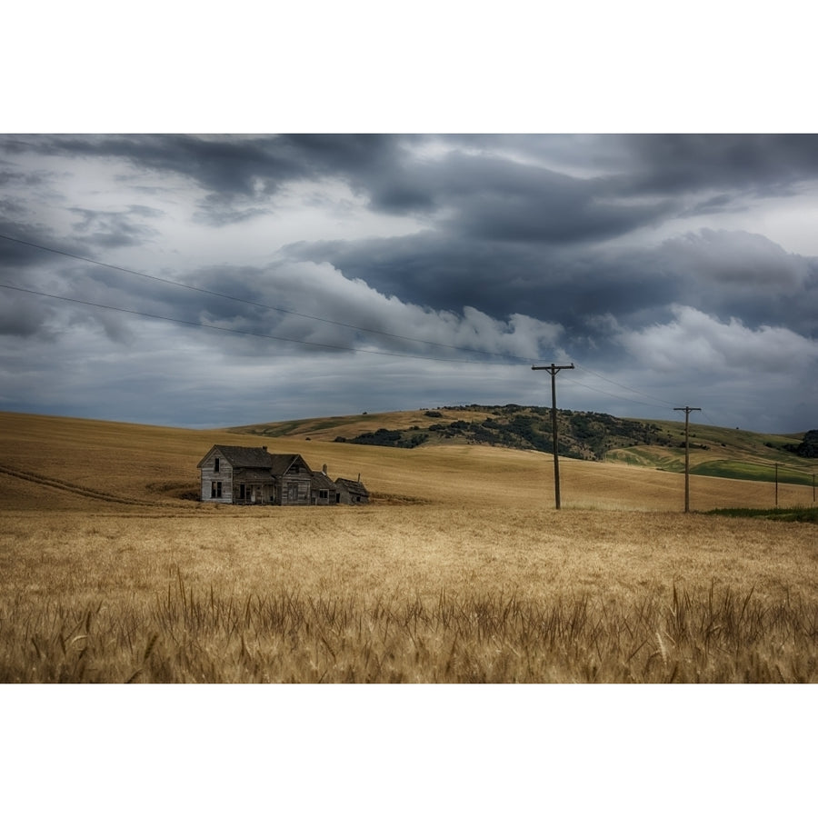 Old Rustic Wooden House In The Middle Of A Golden Field Under A Stormy Sky; Palouse Washington United States Of America Image 1