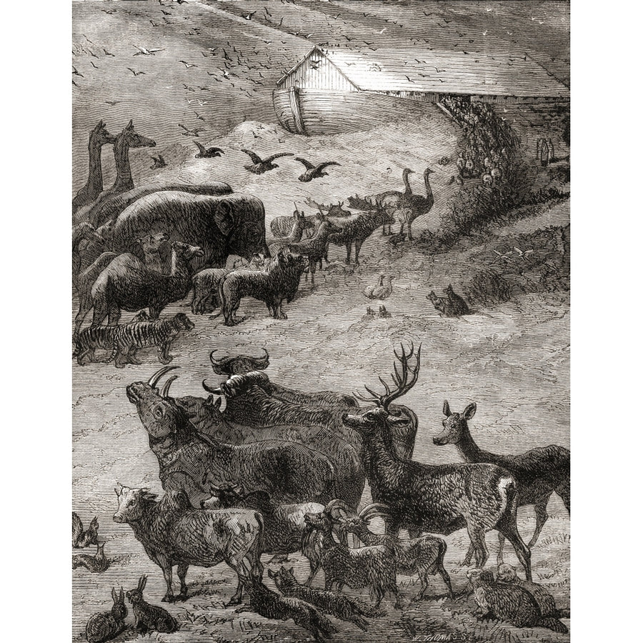 The Animals Entering Noahs Ark From The Book Of Genesis Old Testament. From The Childrens Bible Published C. 1883 by Ken Image 1