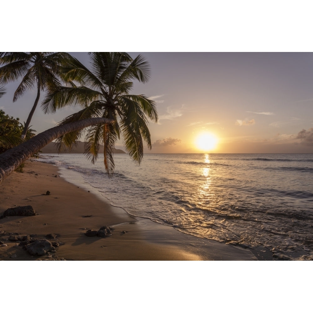 A palm tree silhouette at sunset; St. Croix Virgin Islands United States of America Poster Print by Jenna Szerlag / De Image 2