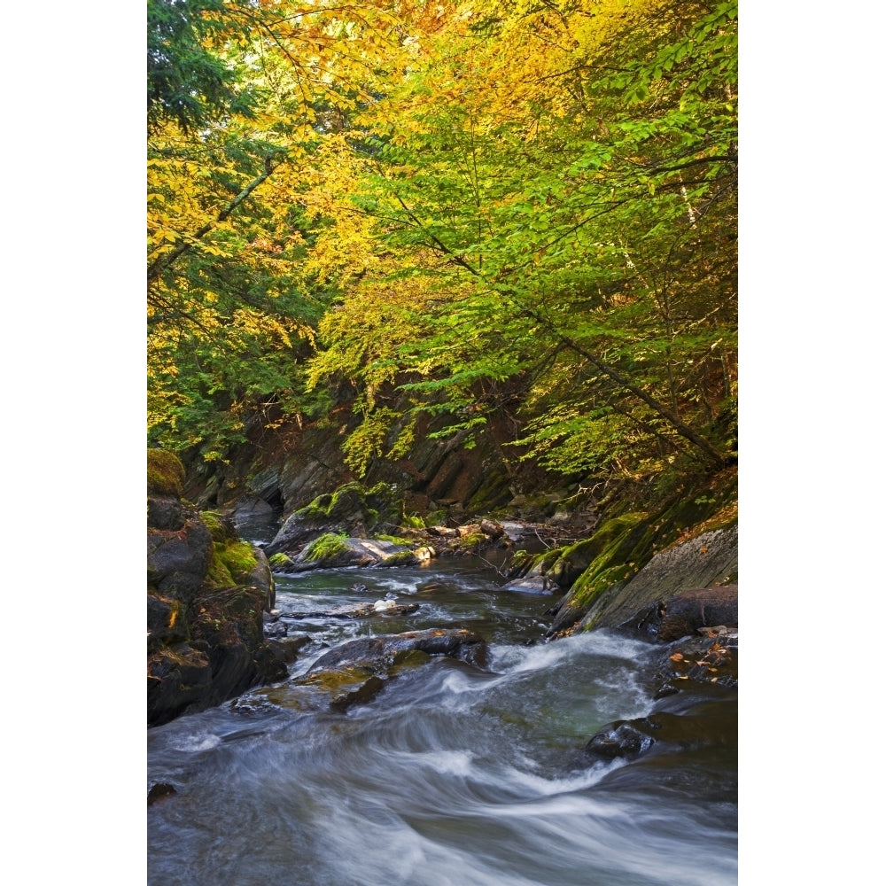 Water flowing in a stream and trees changing colours in autumn; Foster Quebec Canada Poster Print by David Chapman / D Image 2