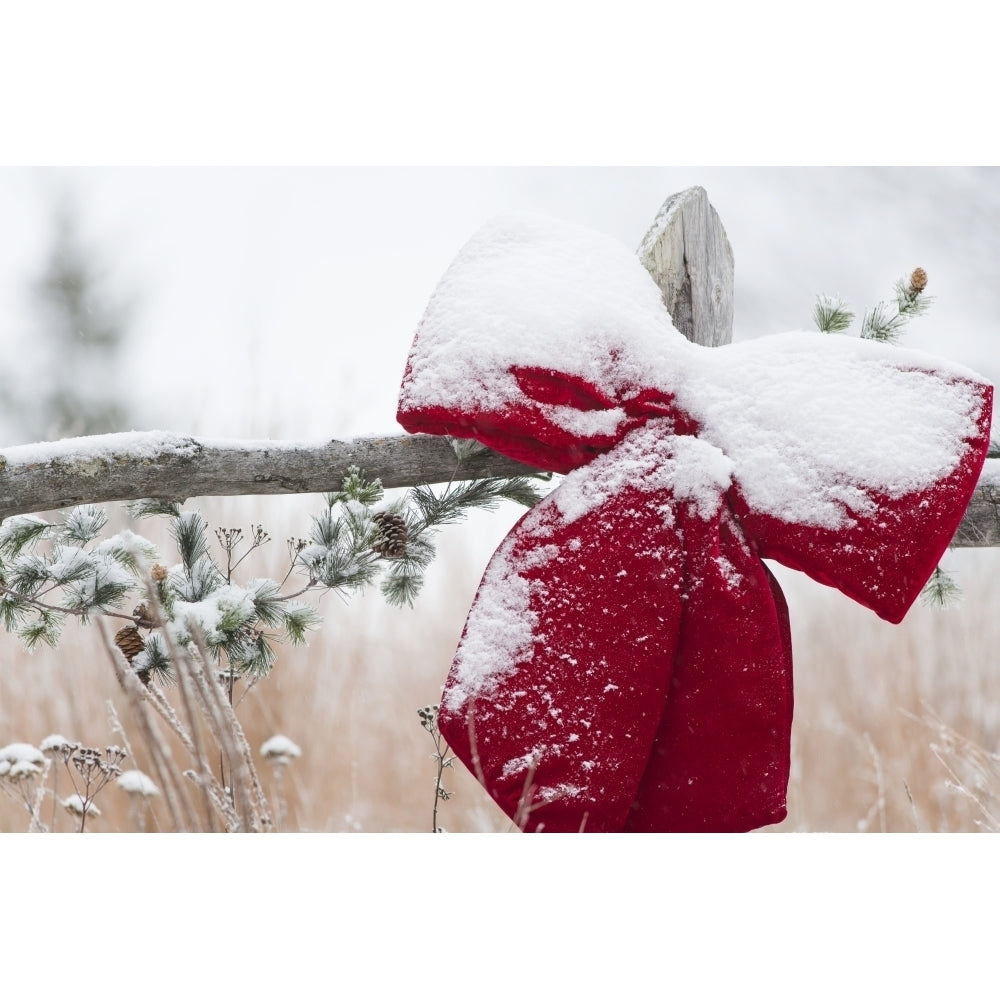 Fresh snow on holiday bow and decorations on fence post Christmas season; Minnesota United States of America Poster Pr Image 1