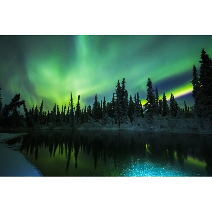 The aurora reflects in the Clearwater River in Delta Junction; Alaska United States of America Poster Print by Steven M Image 1