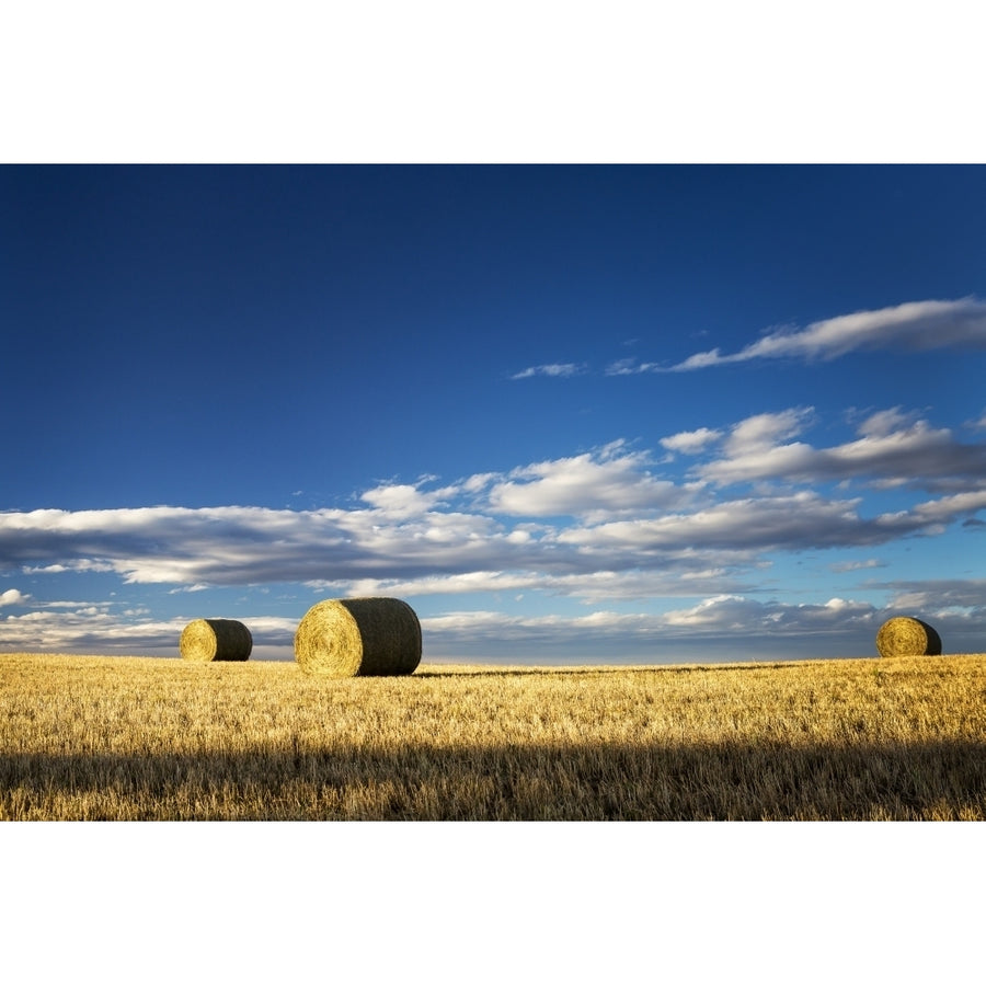 Hay bales in a clear cut field highlighted by the sun with dramatic clouds and blue sky; Alberta Canada Poster Print by Image 1