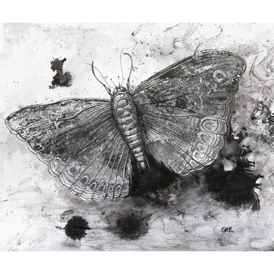 Black And White Illustration Of A Butterfly Poster Print by Glen Ronald 12322401 Image 1