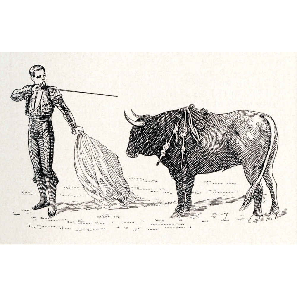 A Spanish Matador Preparing To Kill The Bull In The Final Stage Of The Bullfight. From Enciclopedia Ilustrada Segui Image 1