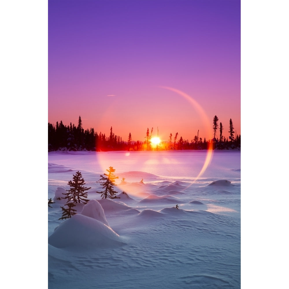 Sun flare glowing over a winter landscape; Trapper Creek Alaska United States of America Poster Print by Ed Boudreau / Image 2