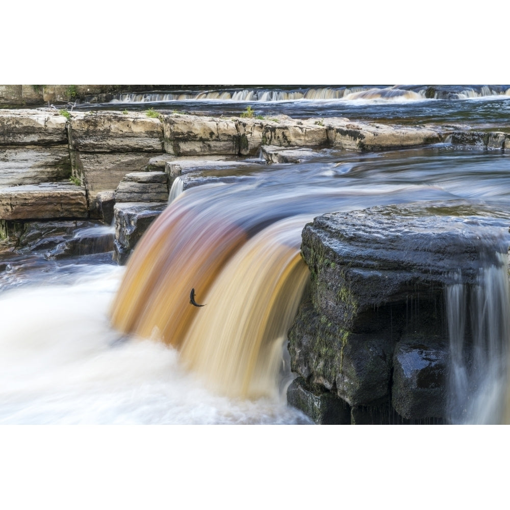 Coloured waterfall flowing over a cliff; Richmond North Yorkshire England Poster Print by John Short / Design Pics Image 1