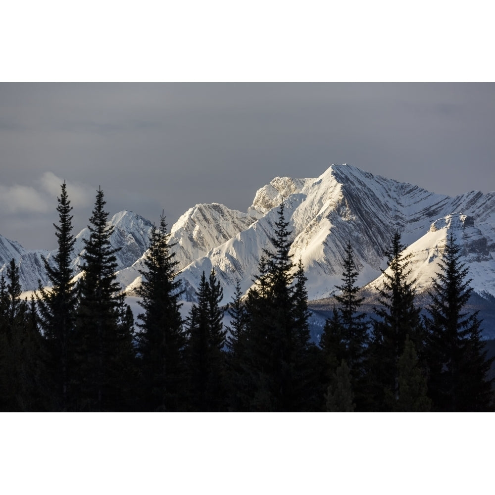 Snow Covered Mountains With Early Morning Light Silhouetted Forest In The Foreground; Kananaskis Country Alberta Canada Image 1