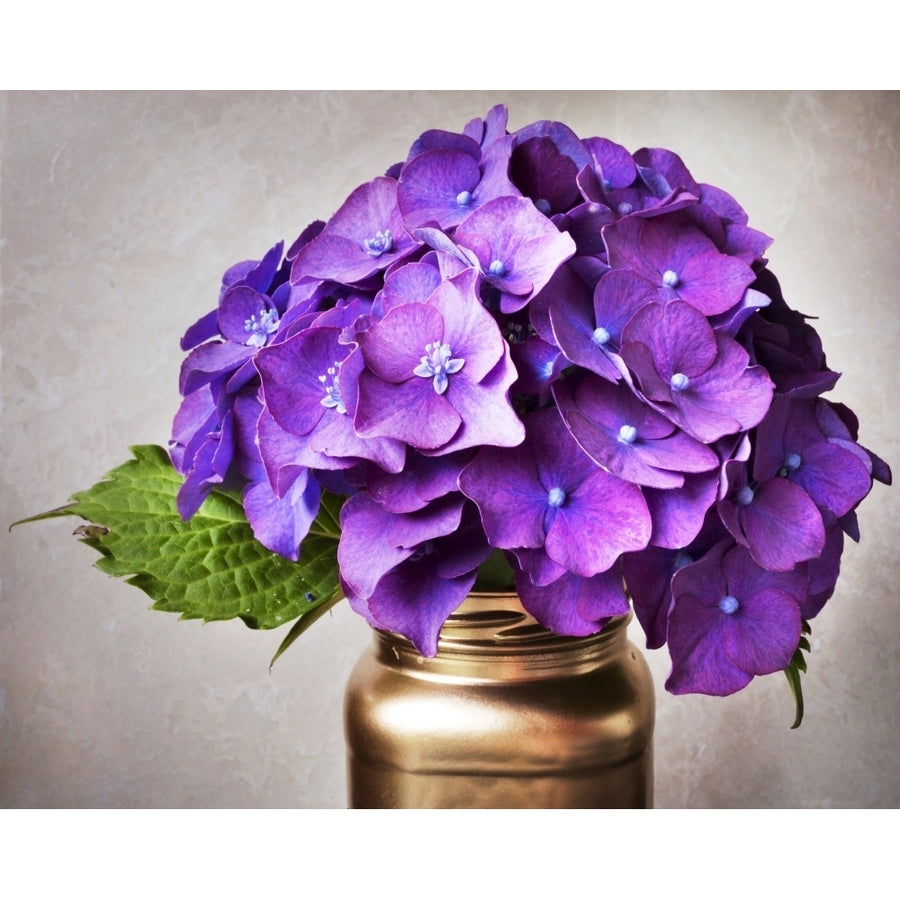 Purple Hydrangea Flowers And Leaf In A Copper Jar On A Gray Background by Lorna Rande / Design Pics Image 1