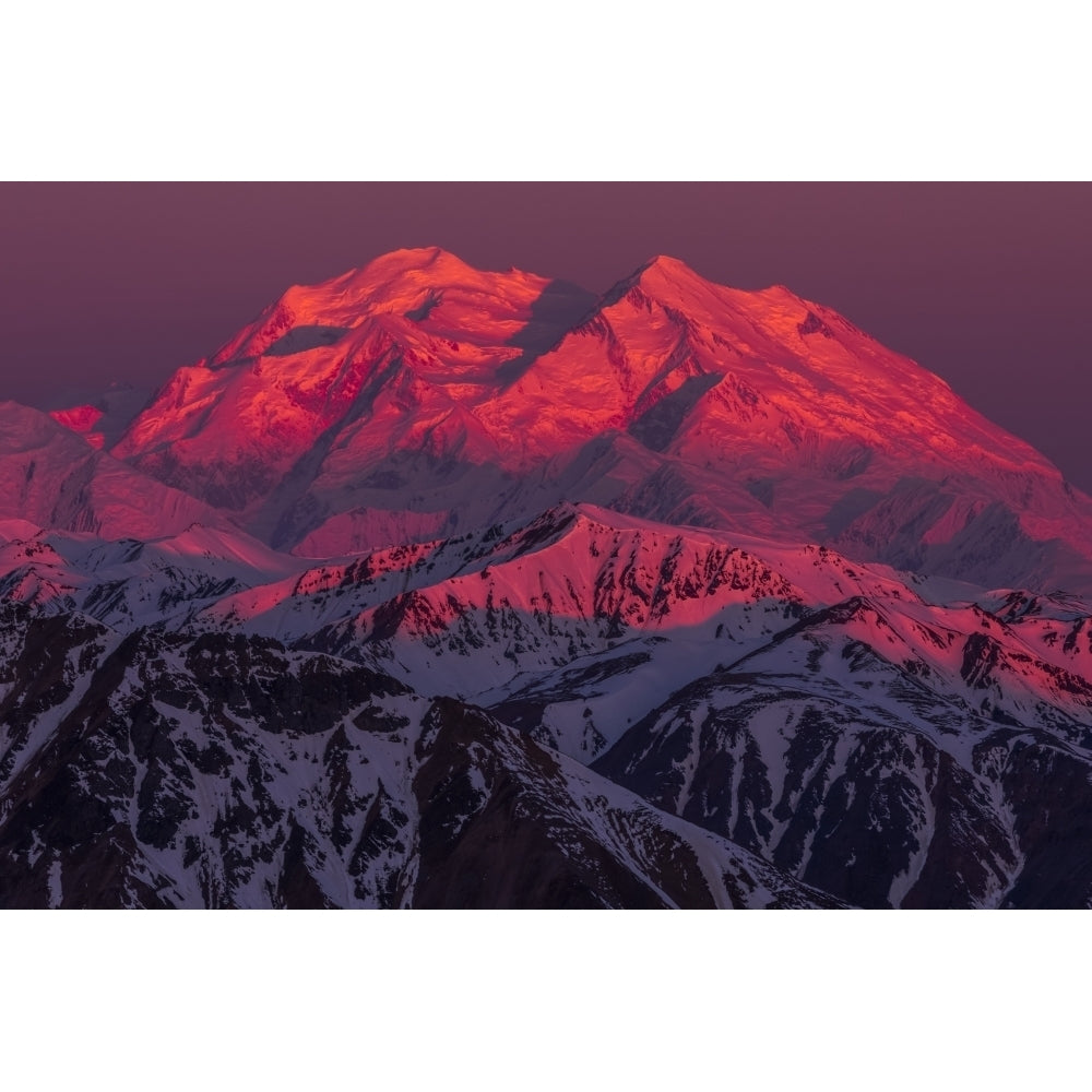 Alpenglow shines on Denali at sunrise viewed from a ridge near Polychrome Mountain in Denali National Park; Alaska Image 1