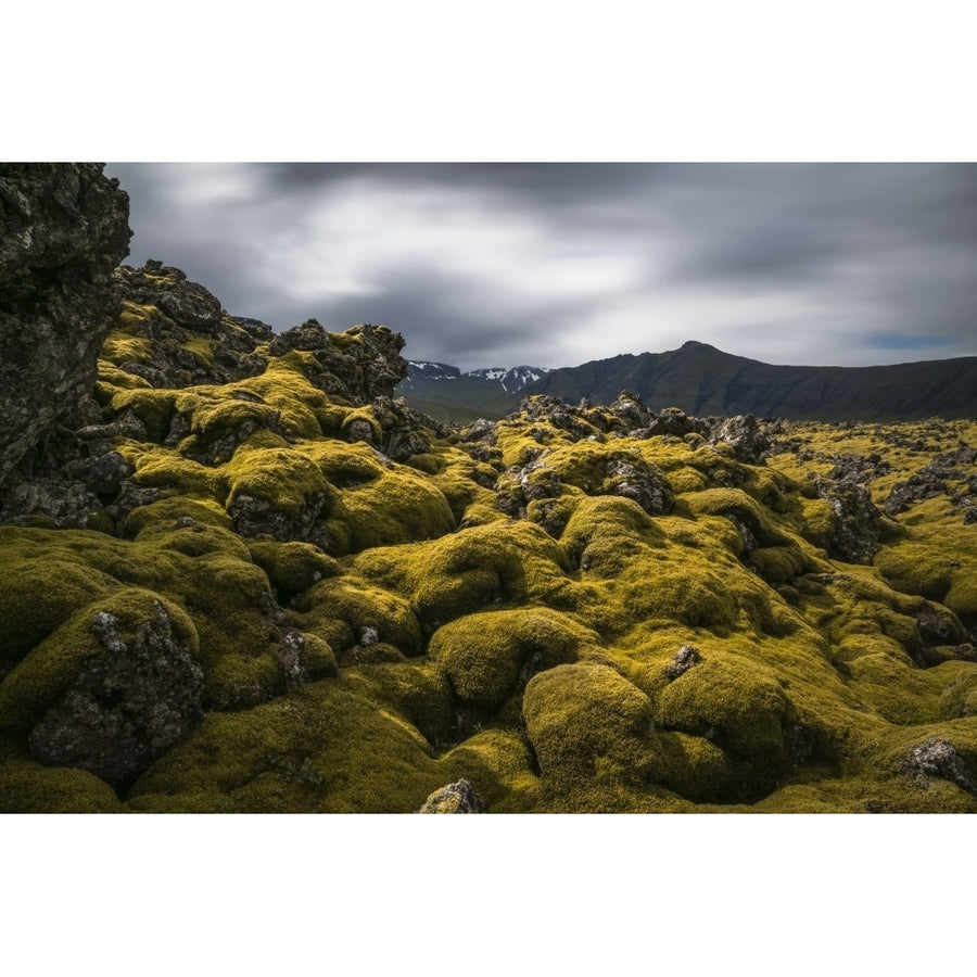 Moss covered lava field on the Snaefellsness Peninsula; Iceland by Robert Postma / Design Pics Image 1