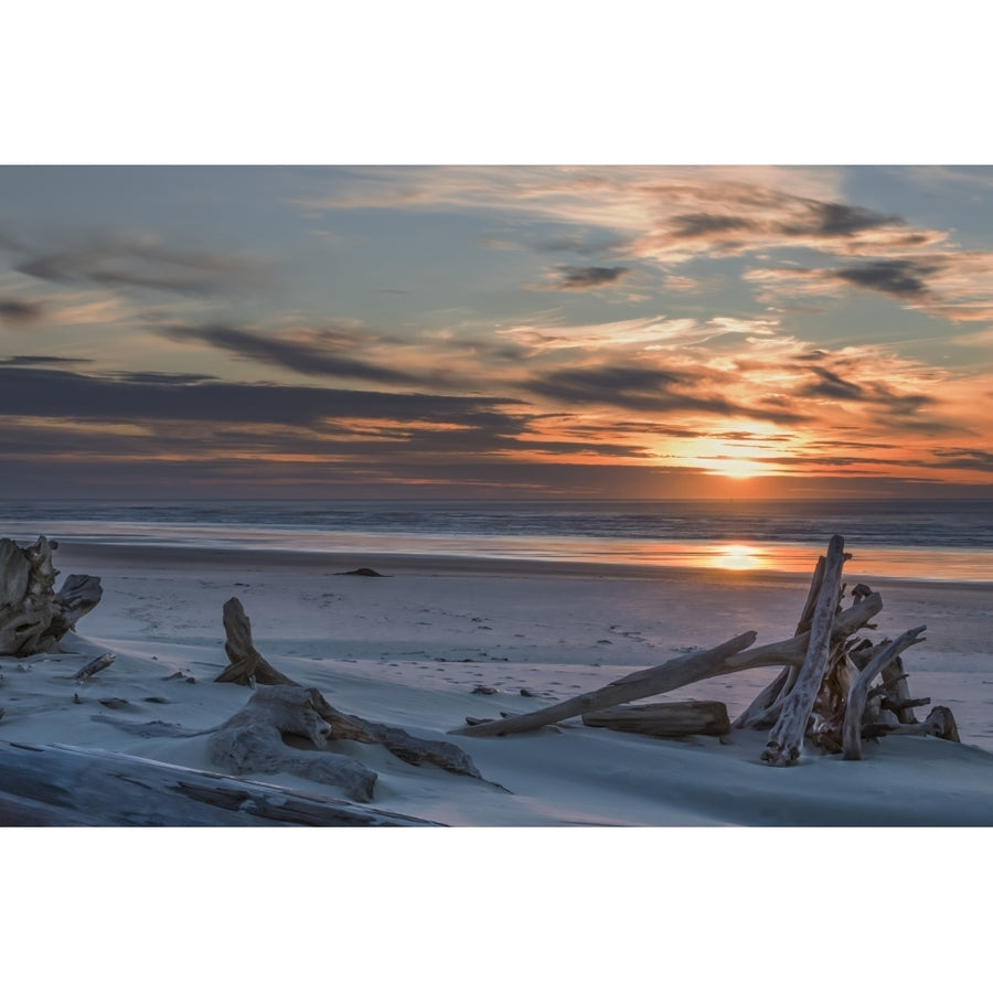 Driftwood on Heceta Beach taken at sunset; Florence Oregon United States of America by Its About Light / Design Pics Image 1